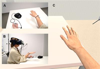 Experimental Induction of Micro- and Macrosomatognosia: A Virtual Hand Illusion Study